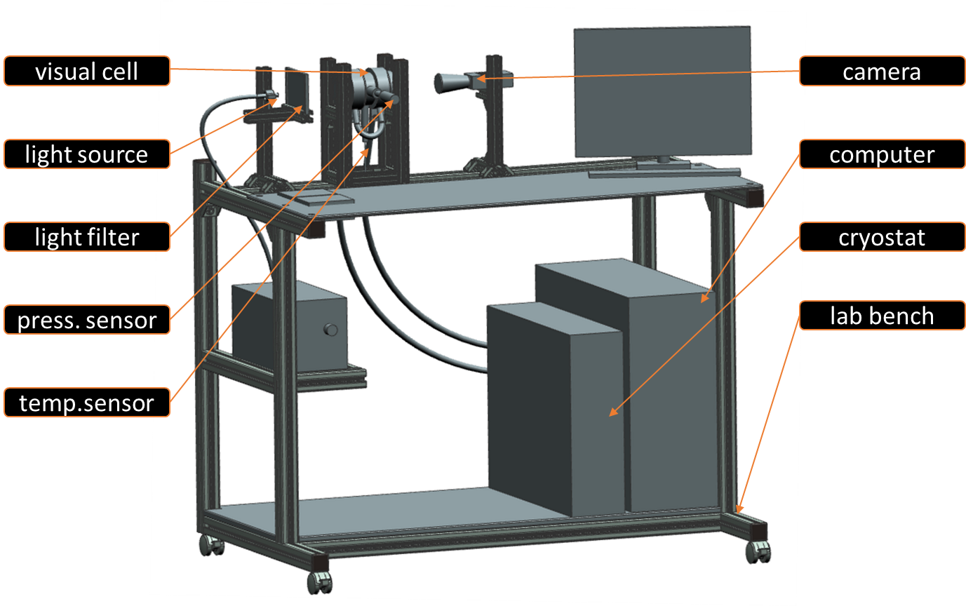 Scheme of the demonstration test rig: CO2 visual cell,Institut für Kernenergetik und Energiesysteme, Universität Stuttgart